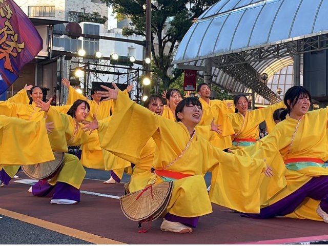 【光】のサムネイル画像